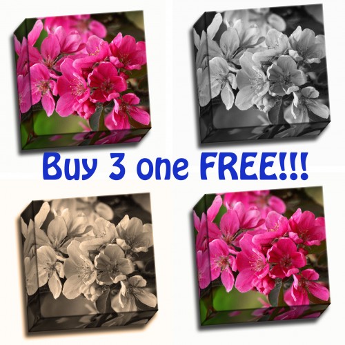 Buy 3 one free